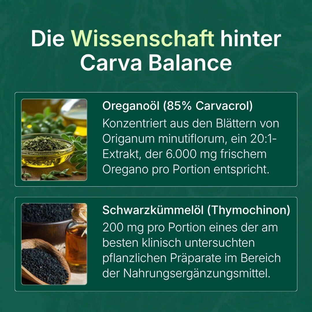 Carva Balance G